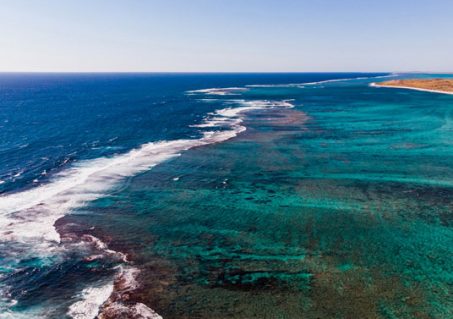 3b-Ningaloo-Reef---Ben-Carless-400 The Ningaloo Reef, in Western Australia’s remote North West Cape, is home to the world’s largest and longest “fringing” reef—a coral reef that lies close to shore. (Photo by Ben Carless)